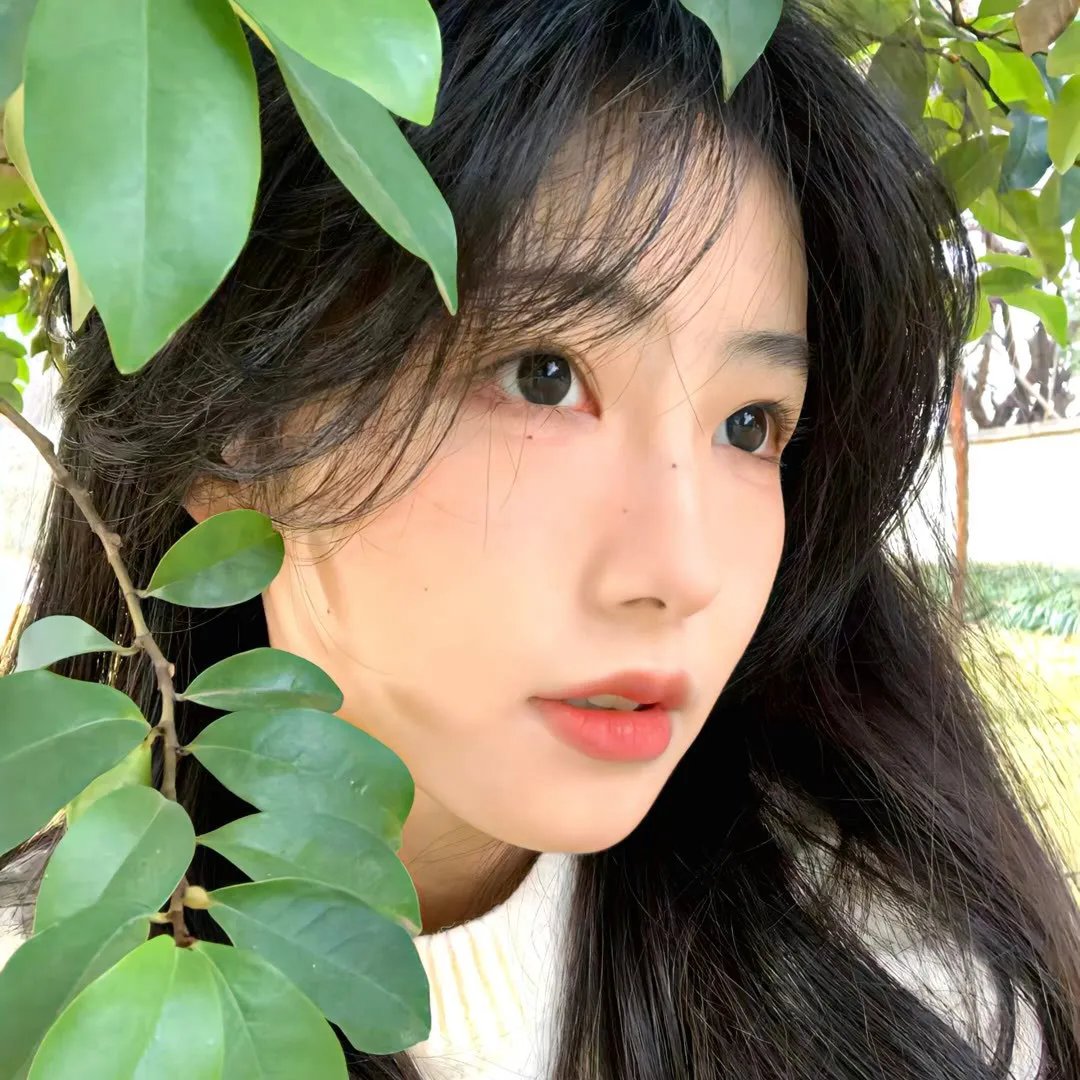 秋霜